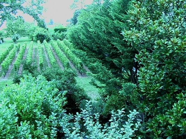 Les Id De Saint Emilion Bed & Breakfast Bagian luar foto